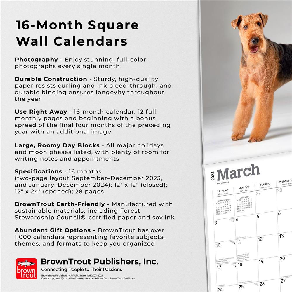 Airedale Terriers 2024 Wall Calendar