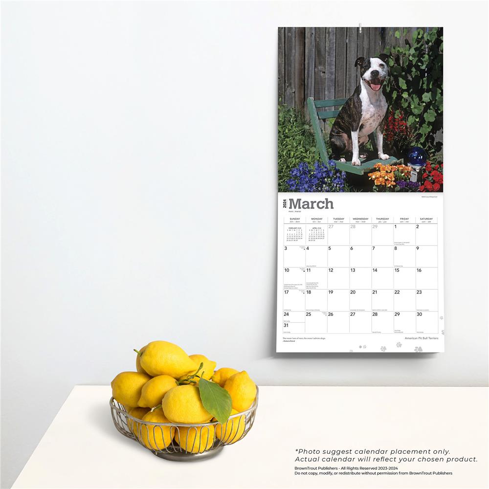 American Pit Bull Terriers 2024 Wall Calendar