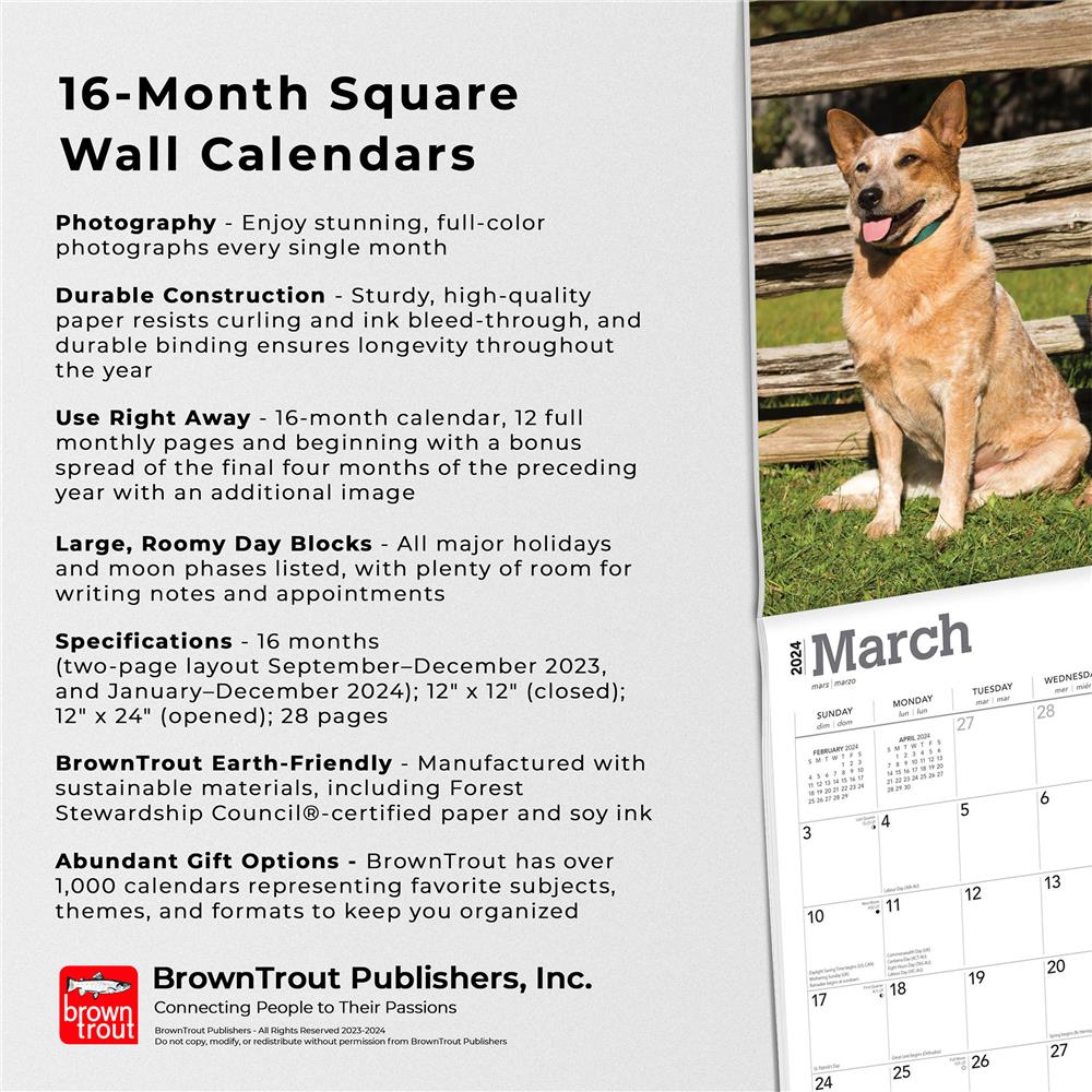 Australian Cattle Dogs 2024 Wall Calendar
