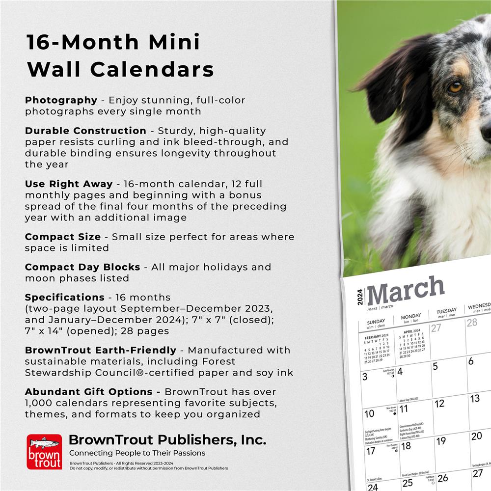 Australian Shepherds 2024 Mini Calendar