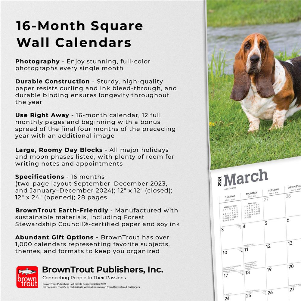 Basset Hounds 2024 Wall Calendar