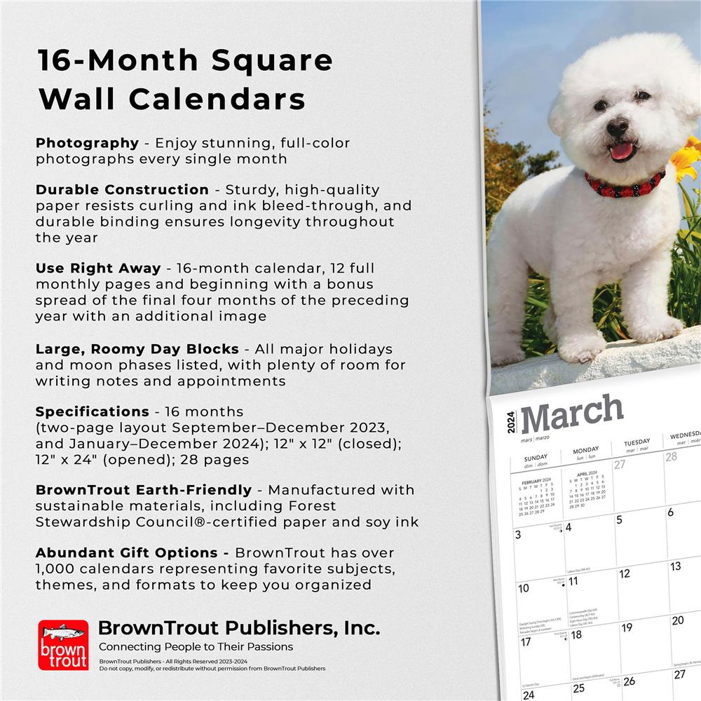 Bichon Frise 2024 Wall Calendar