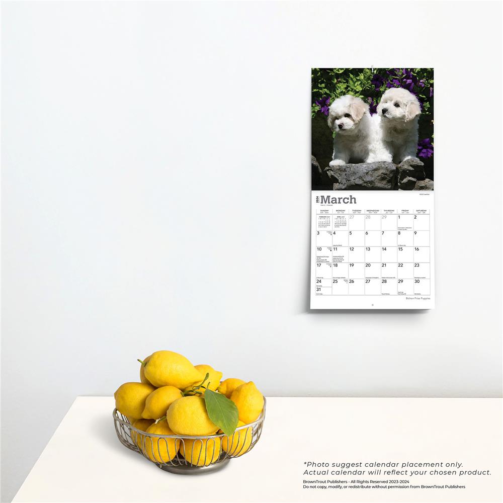 Bichon Frise Puppies 2024 Mini Calendar