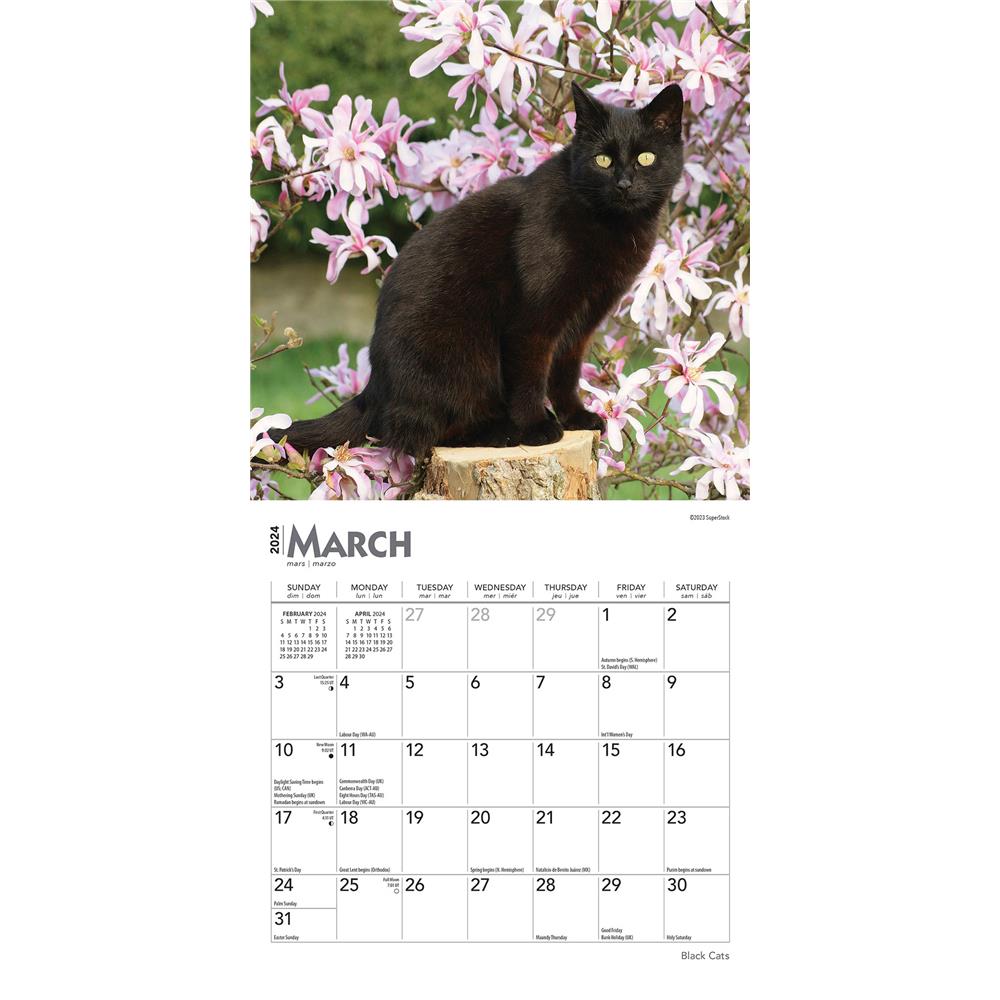 Black Cats 2024 Mini Calendar