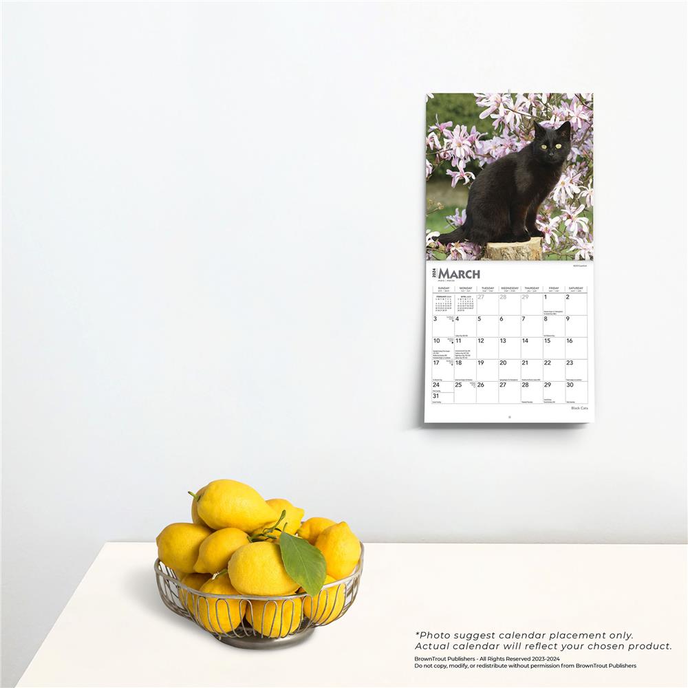 Black Cats 2024 Mini Calendar