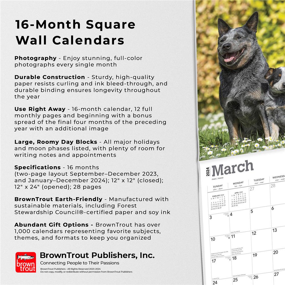 Blue Heelers 2024 Wall Calendar