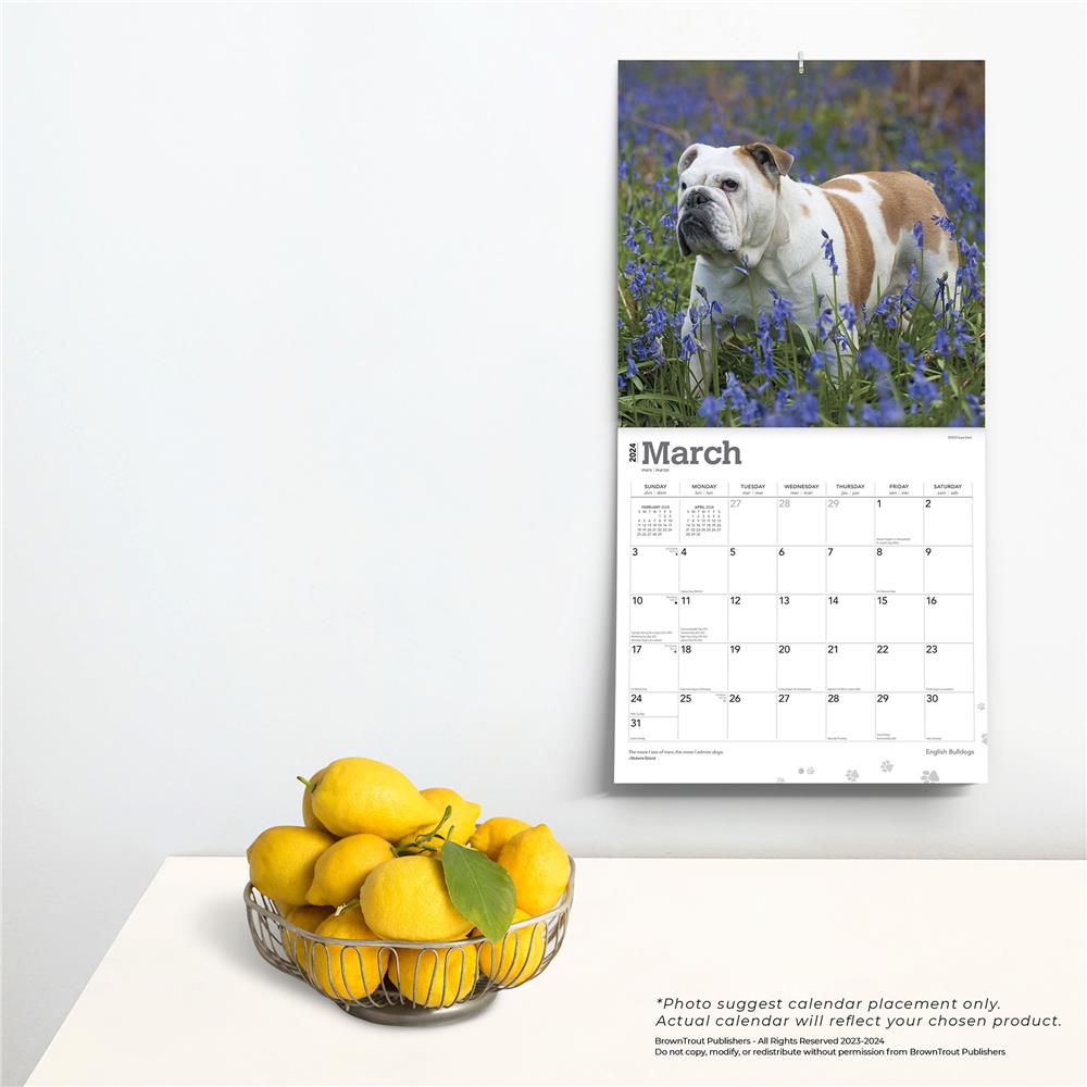Bulldogs English 2024 Wall Calendar