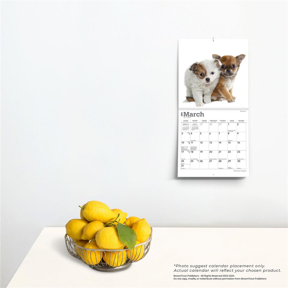 Chihuahua Puppies 2024 Mini Calendar