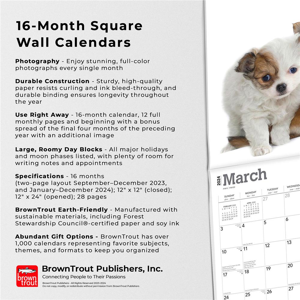 Chihuahua Puppies 2024 Wall Calendar