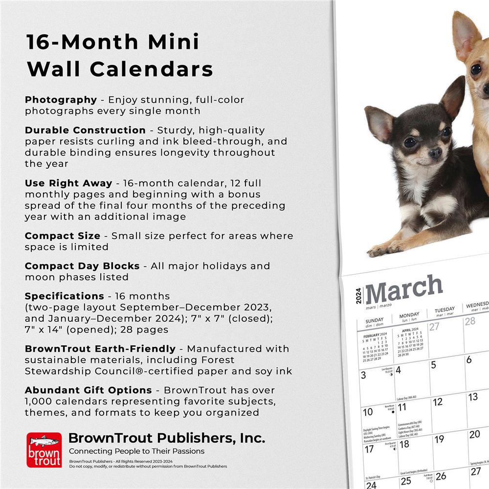 Chihuahuas 2024 Mini Calendar - Online Exclusive
