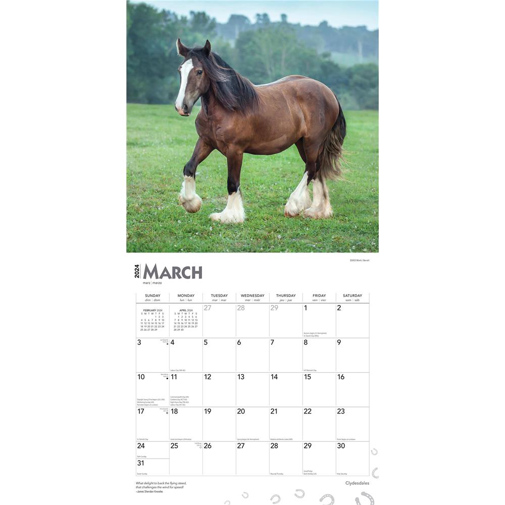 Clydesdales 2024 Wall Calendar - Online Exclusive