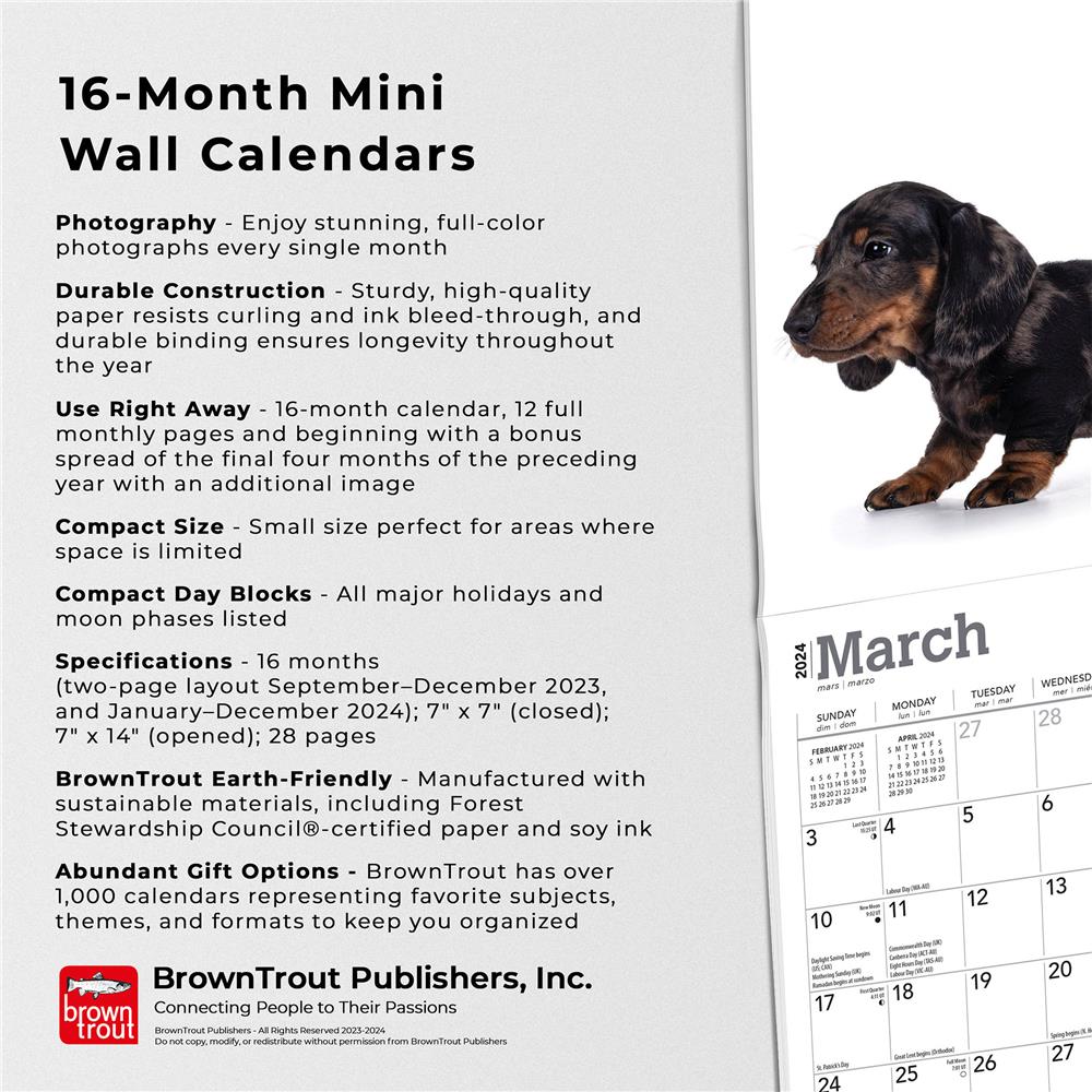Dachshund Puppies 2024 Mini Calendar