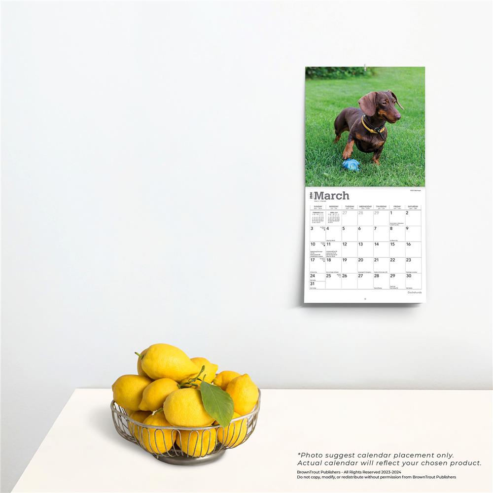 Dachshunds 2024 Mini Calendar - Online Exclusive
