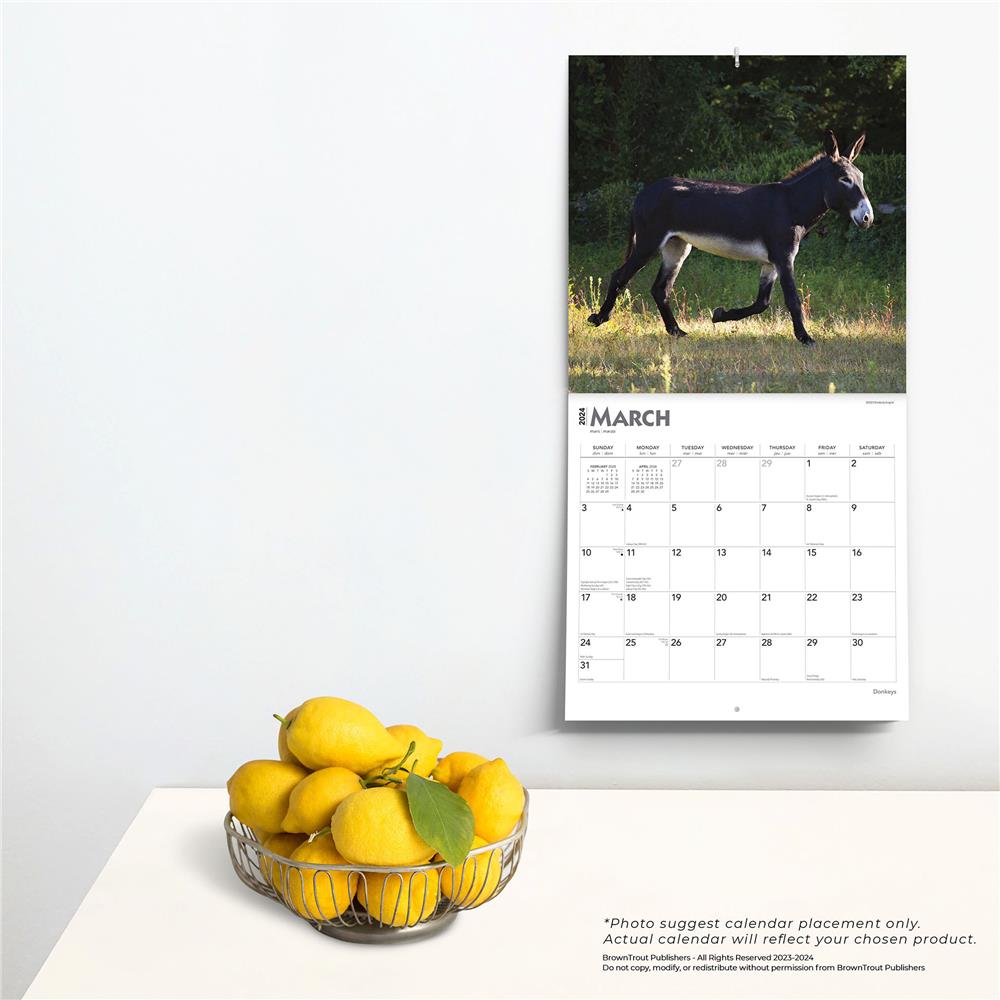 Donkeys 2024 Wall Calendar