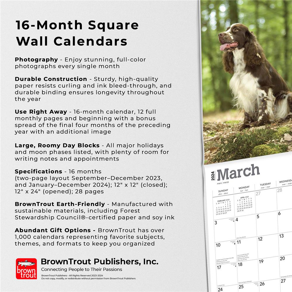Springer Spaniels English 2024 Wall Calendar