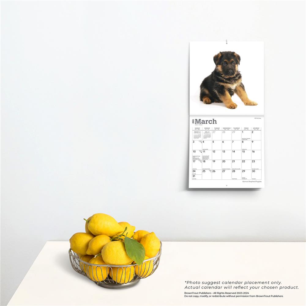 German Shepherd Puppies 2024 Mini Calendar