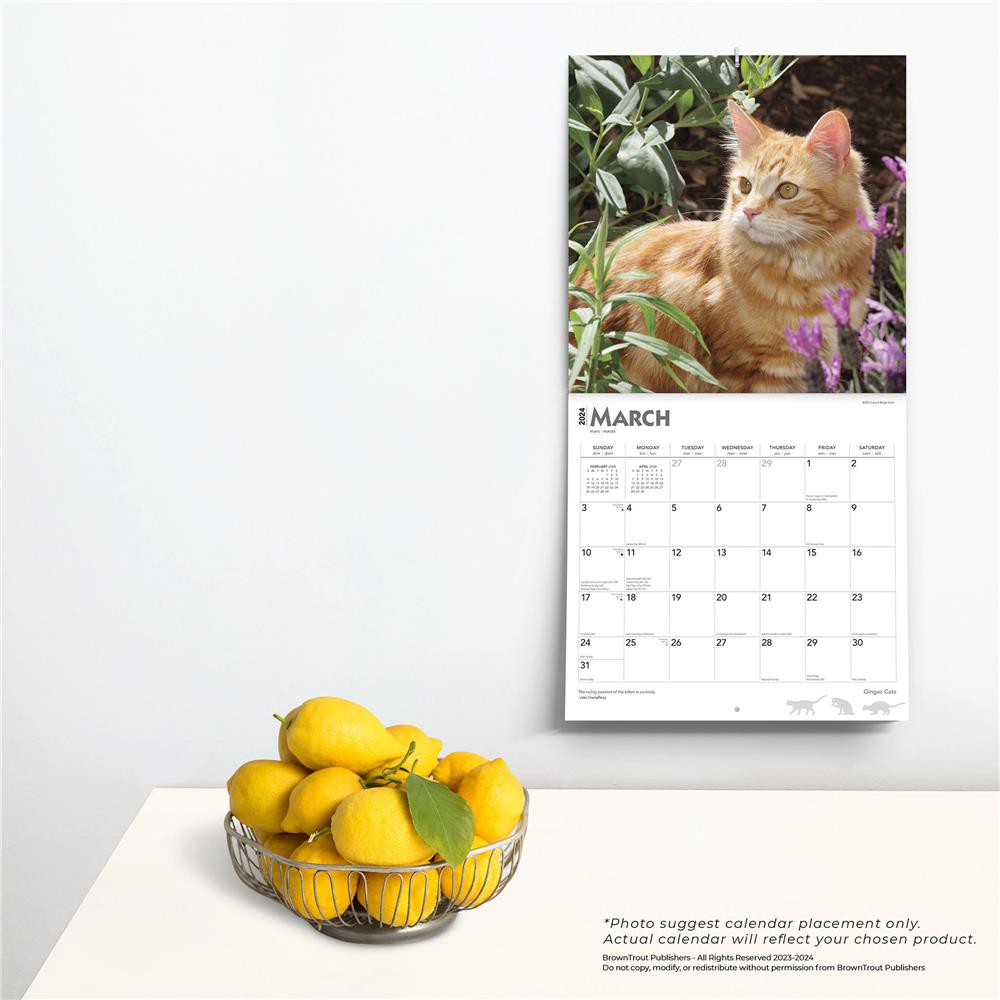 Ginger Cats 2024 Wall Calendar