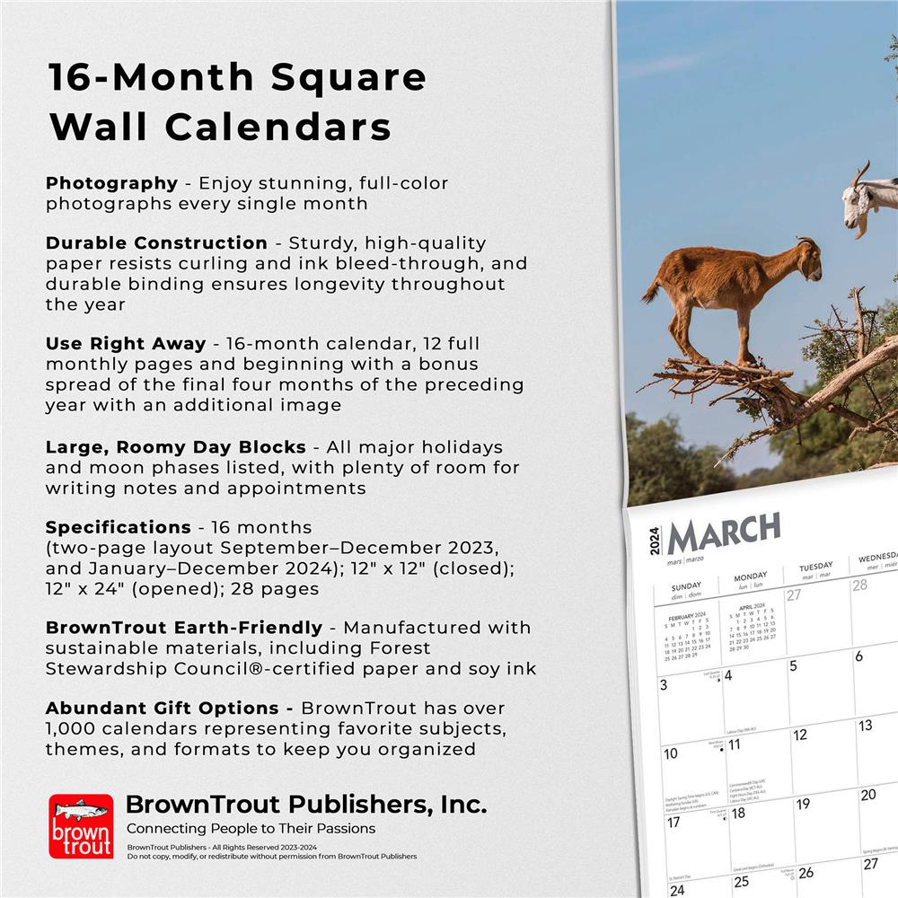 Goats in Trees 2024 Wall Calendar