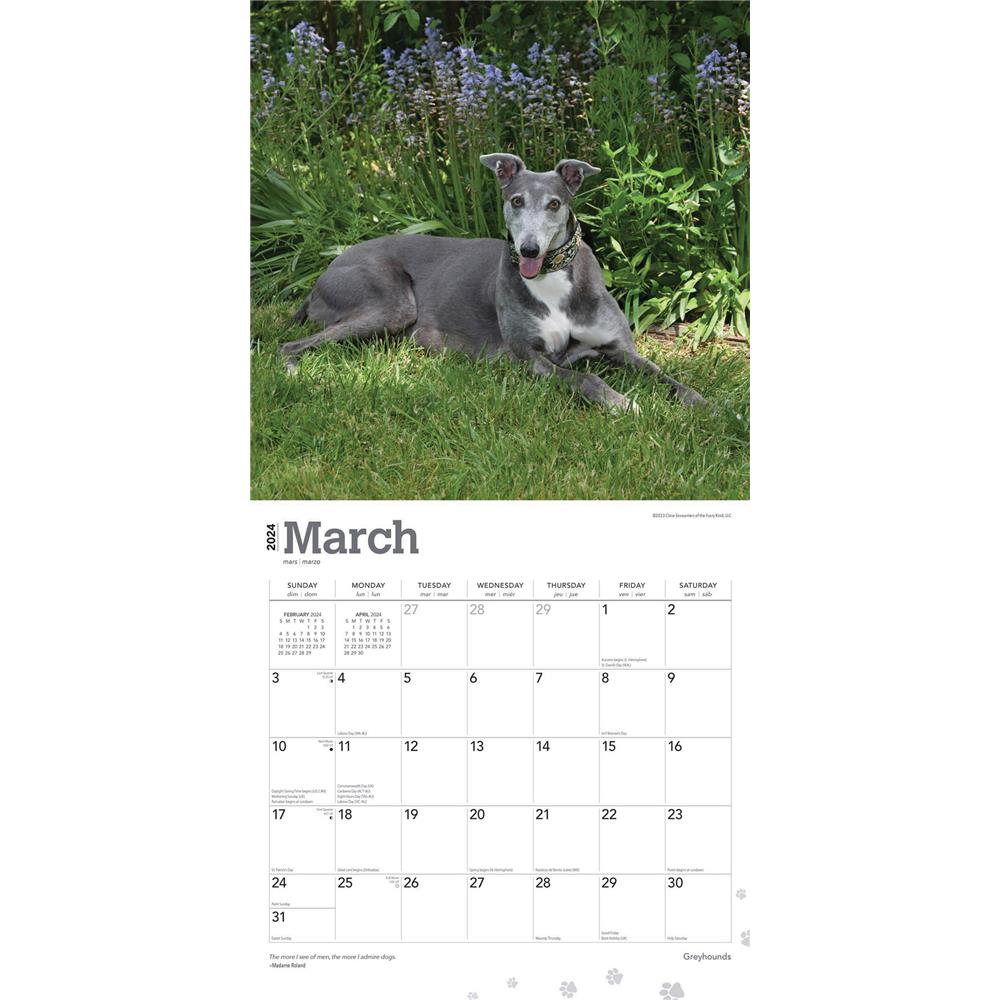 Greyhounds 2024 Wall Calendar
