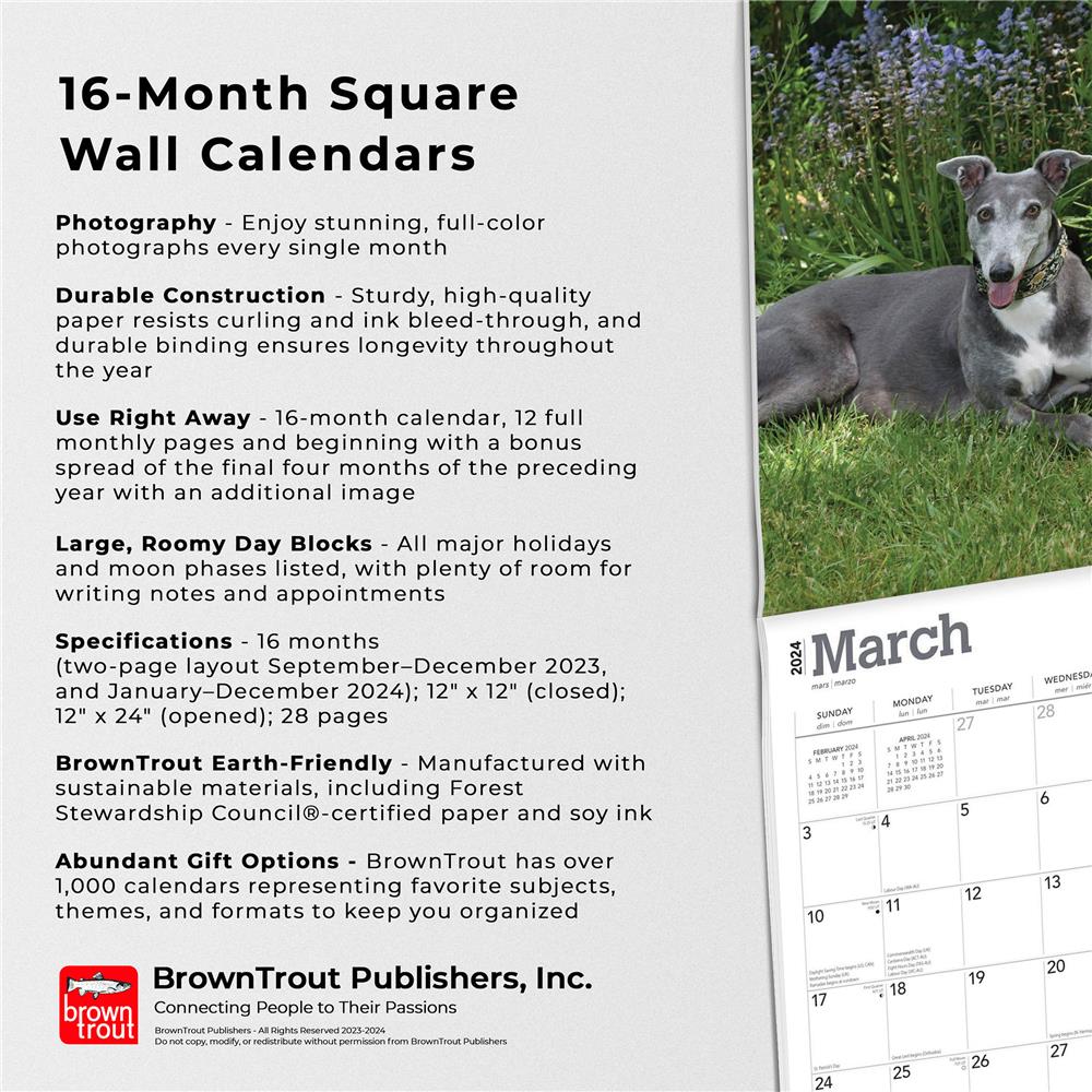 Greyhounds 2024 Wall Calendar