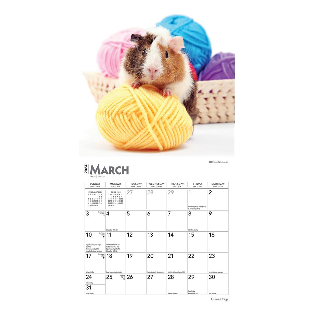 Guinea Pigs 2024 Mini Calendar