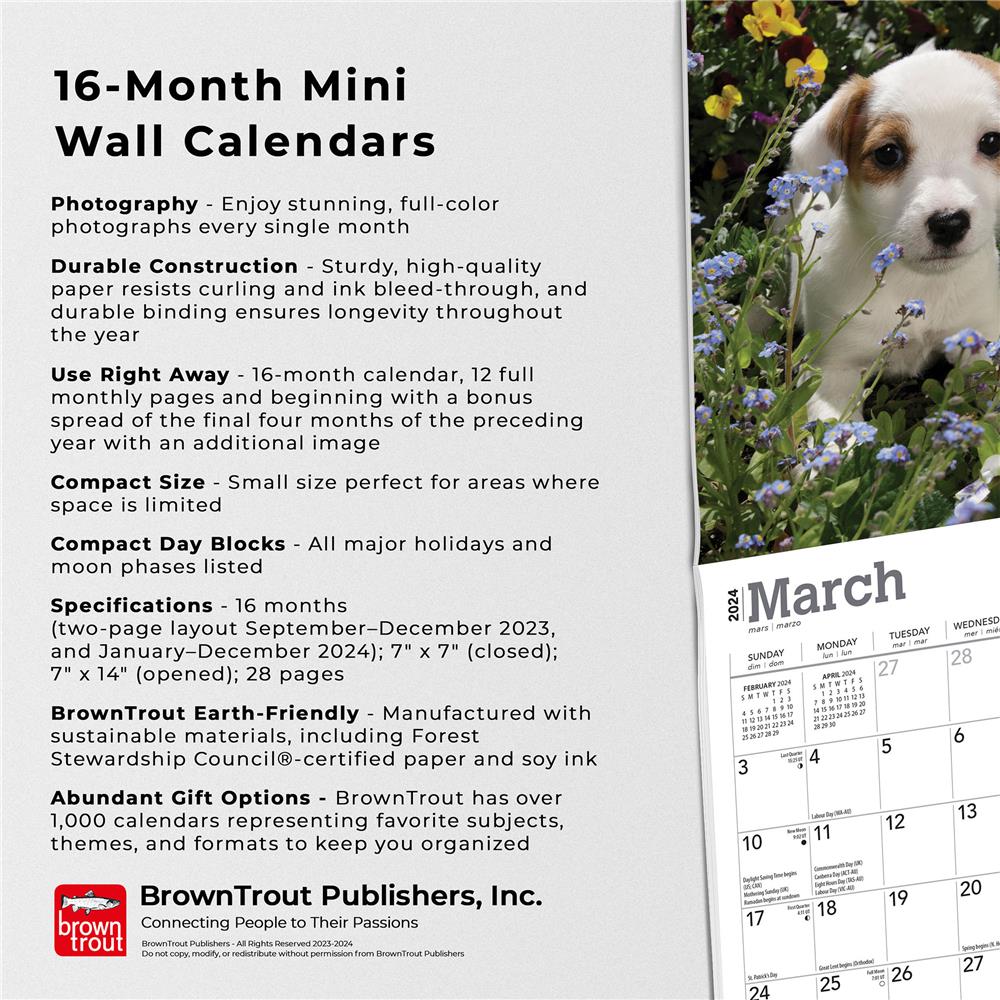 Jack Russell Terrier Puppies 2024 Mini Calendar - Online Exclusive