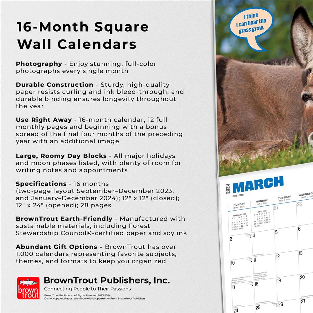 Jackasses 2024 Wall Calendar