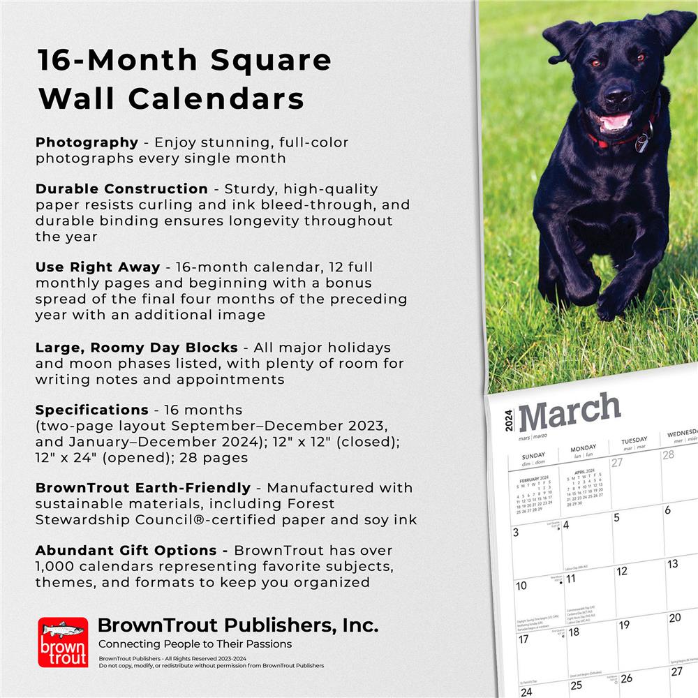 Black Lab Puppies 2024 Wall Calendar