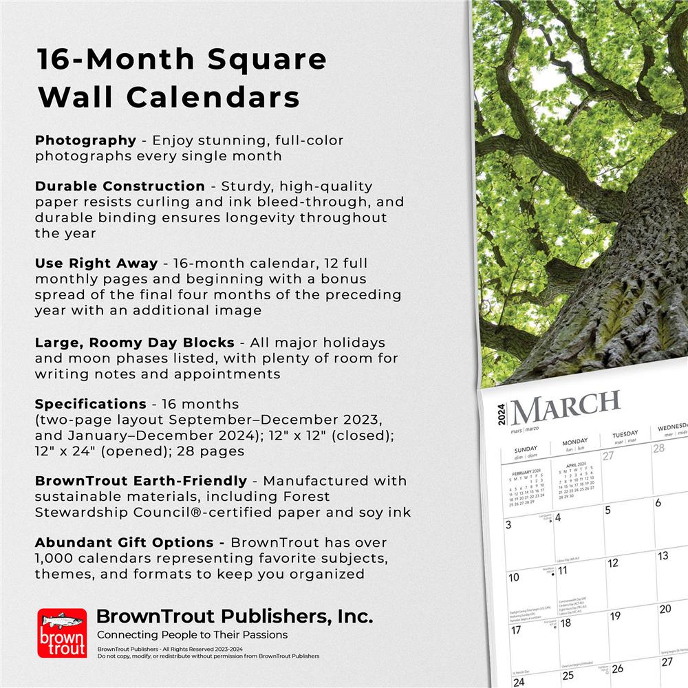 Majesty of Trees 2024 Wall Calendar - Online Exclusive