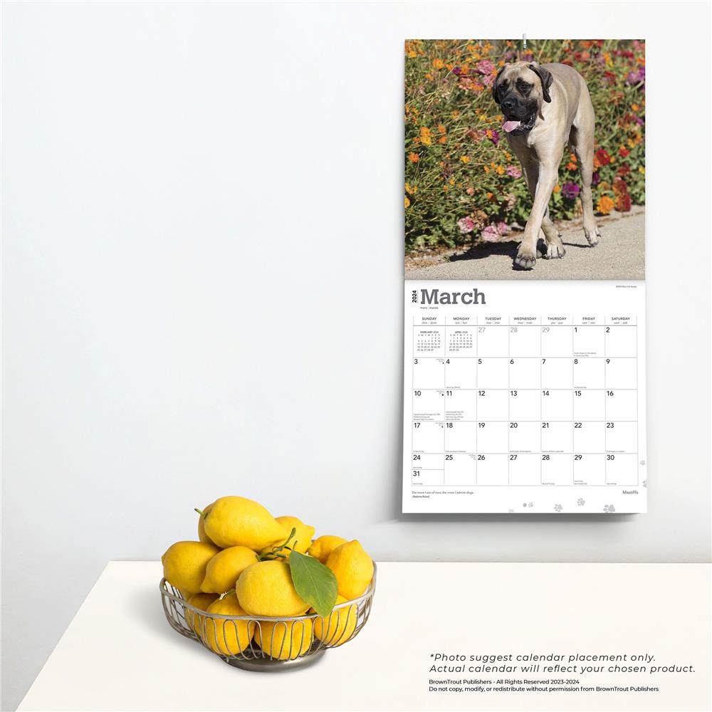 Mastiffs 2024 Wall Calendar
