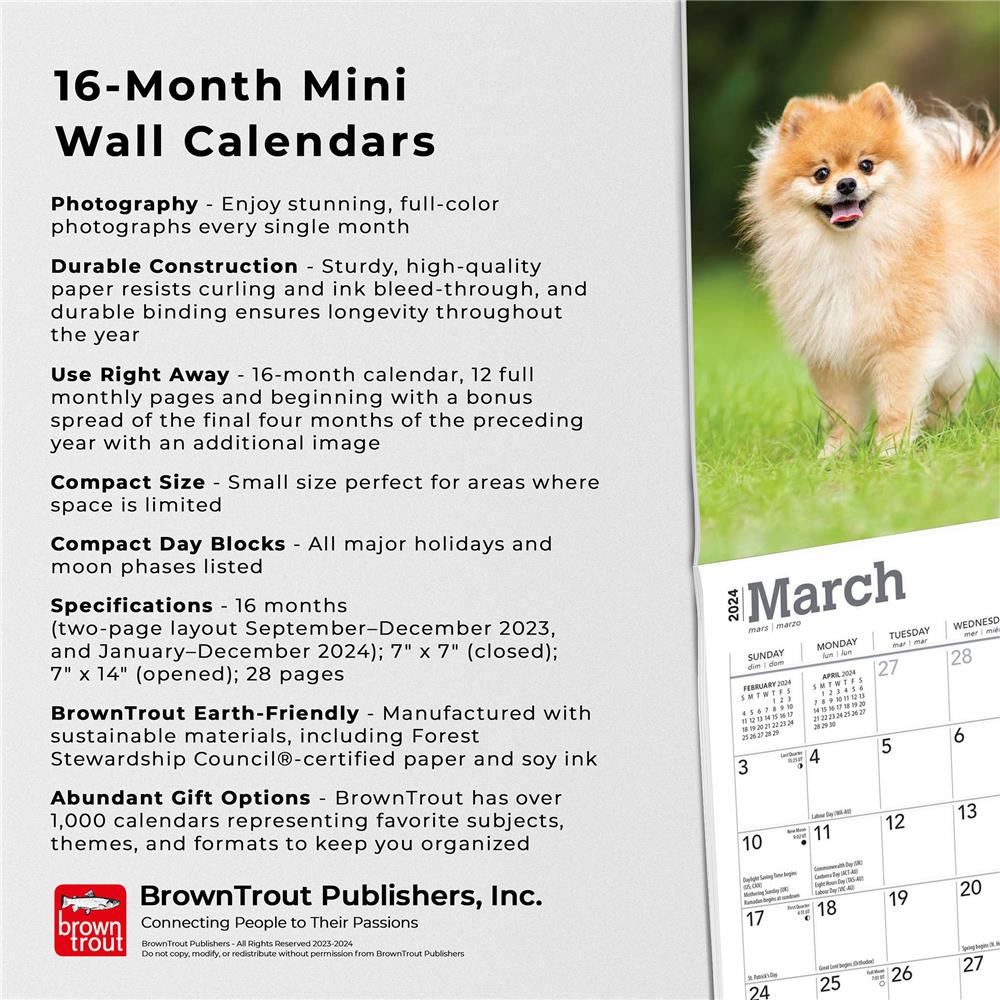 Pomeranians 2024 Mini Calendar