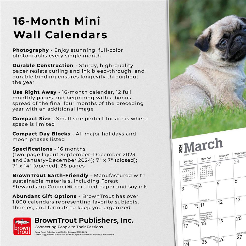 Pug Puppies 2024 Mini Calendar