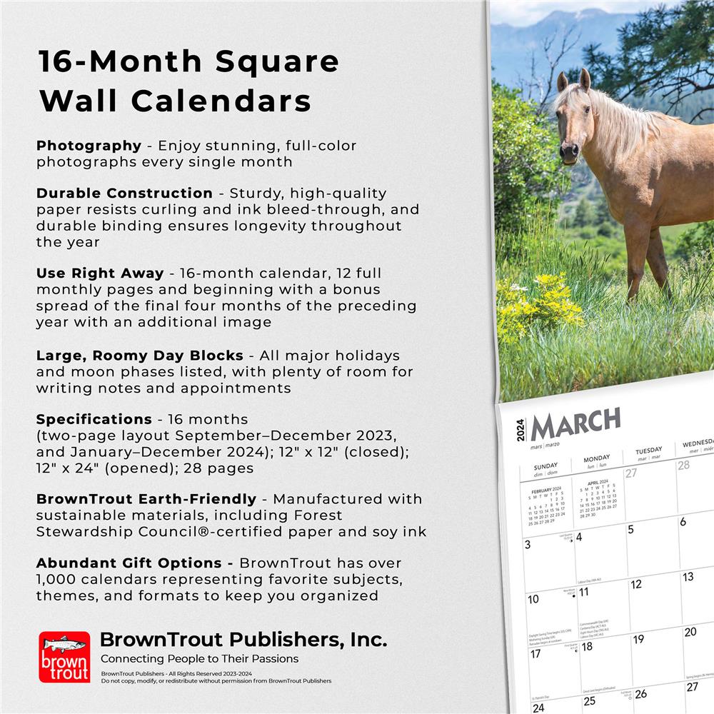 Quarter Horses 2024 Wall Calendar - Online Exclusive