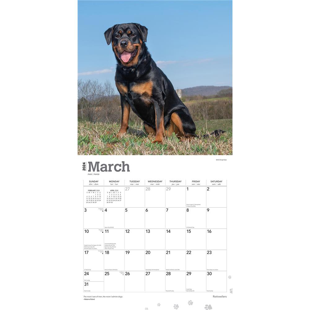 Rottweilers 2024 Wall Calendar