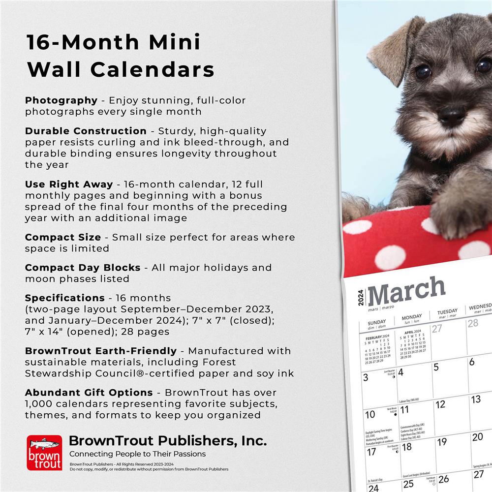Schnauzer Puppies 2024 Mini Calendar