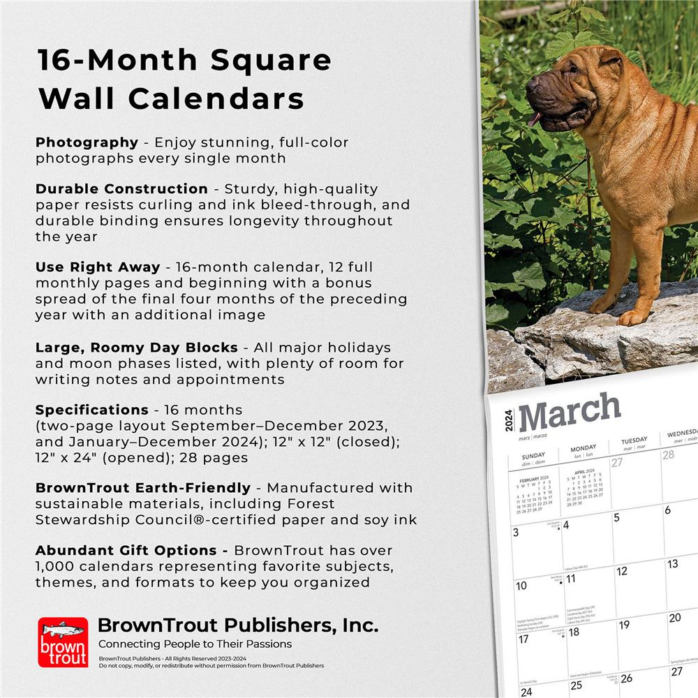 Shar Pei 2024 Wall Calendar