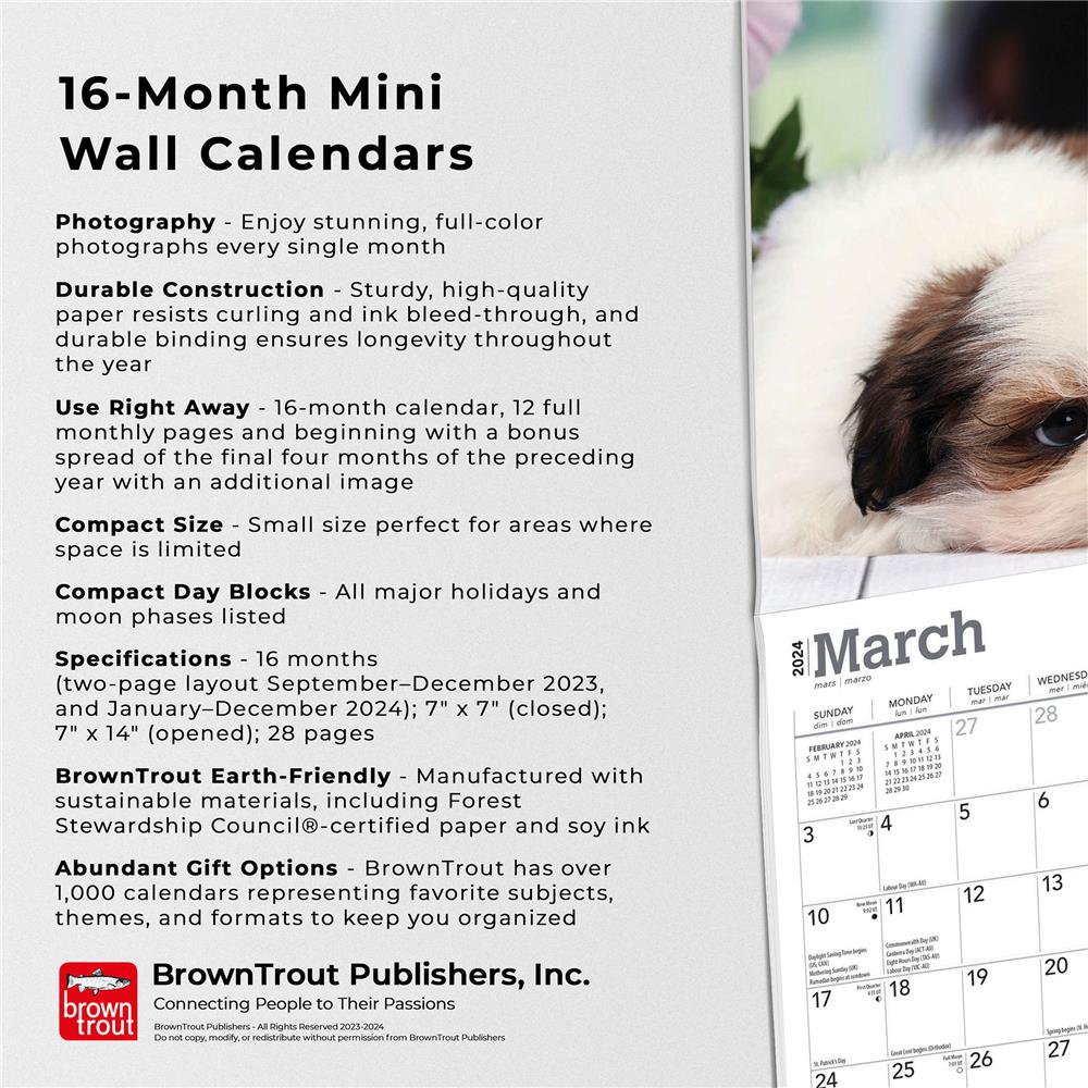 Shih Tzu Puppies 2024 Mini Calendar