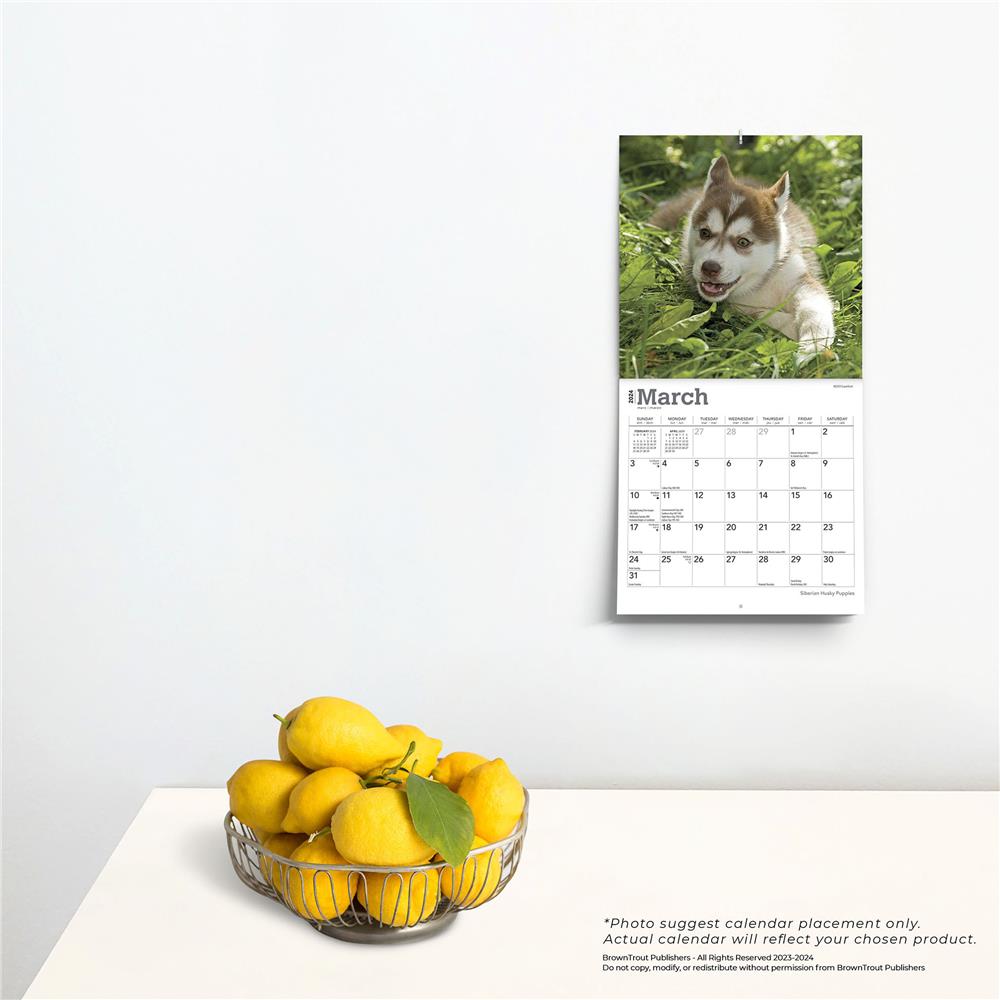 Siberian Husky Puppies 2024 Mini Calendar