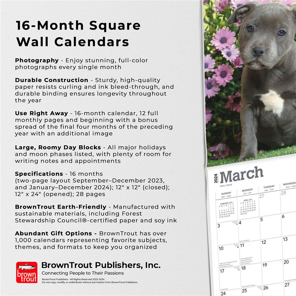 Staffordshire Bull Terrier Puppies 2024 Wall Calendar