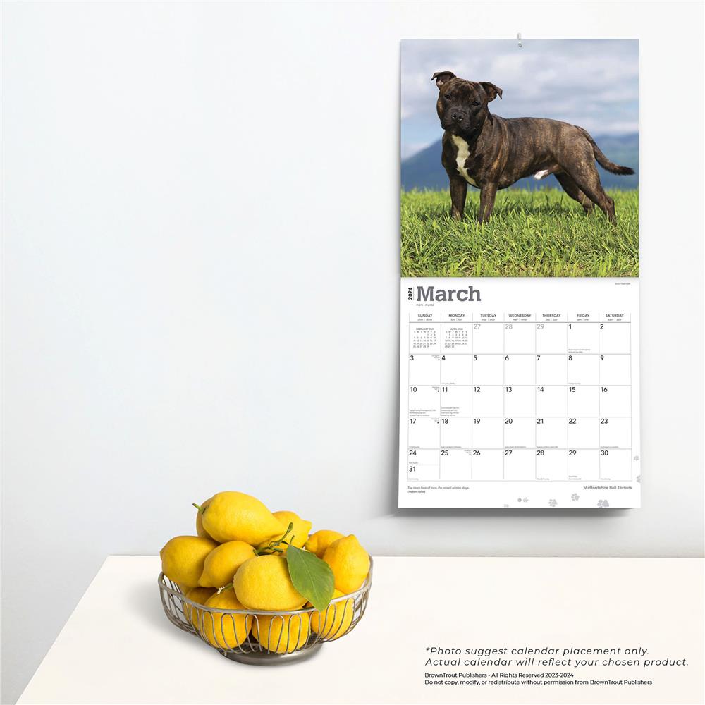 Staffordshire Bull Terriers 2024 Wall Calendar - Online Exclusive