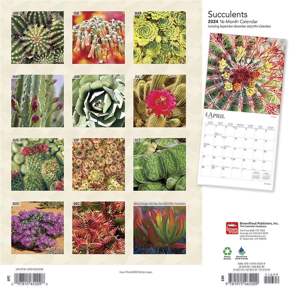 Succulents 2024 Wall Calendar