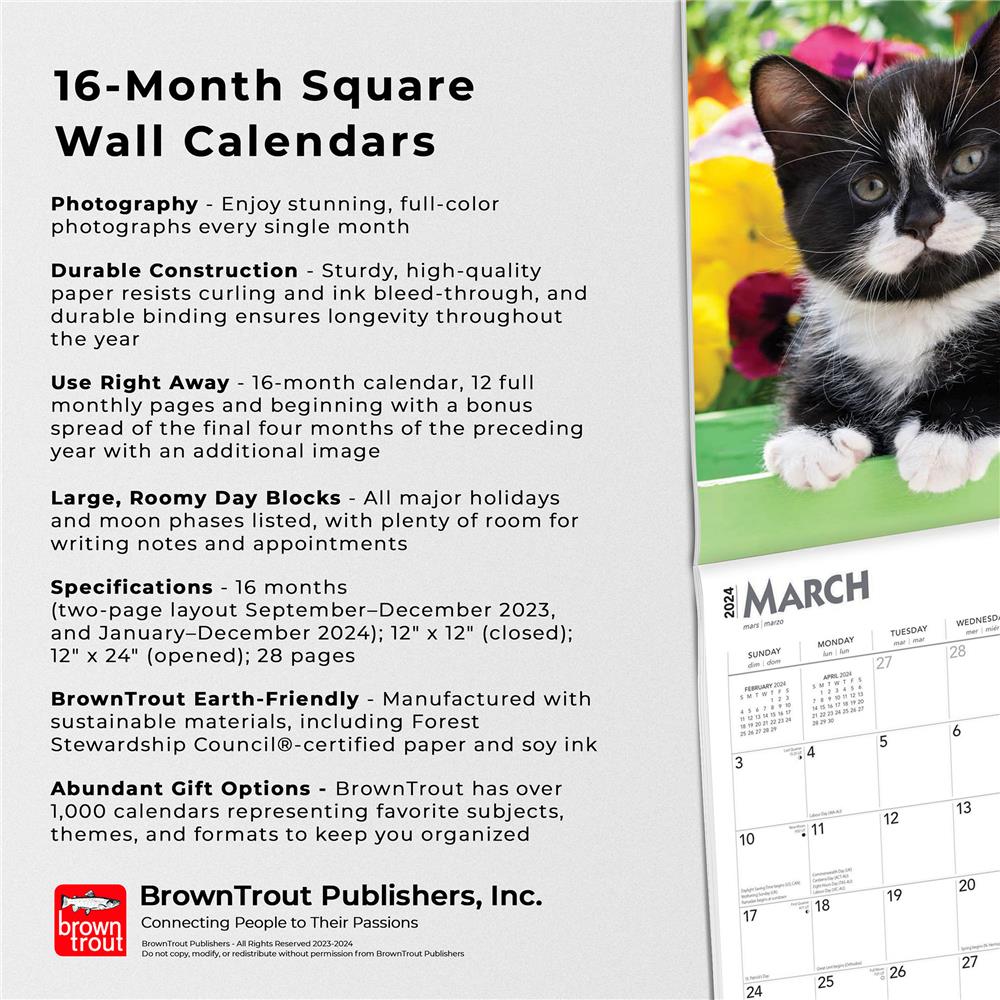Tuxedo Cats 2024 Wall Calendar