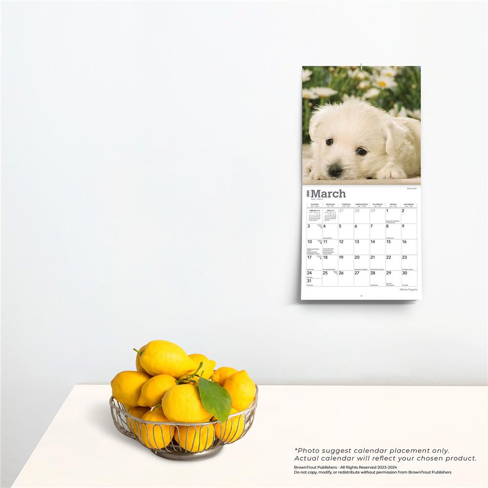 West Highland White Terrier Puppies 2024 Mini Calendar
