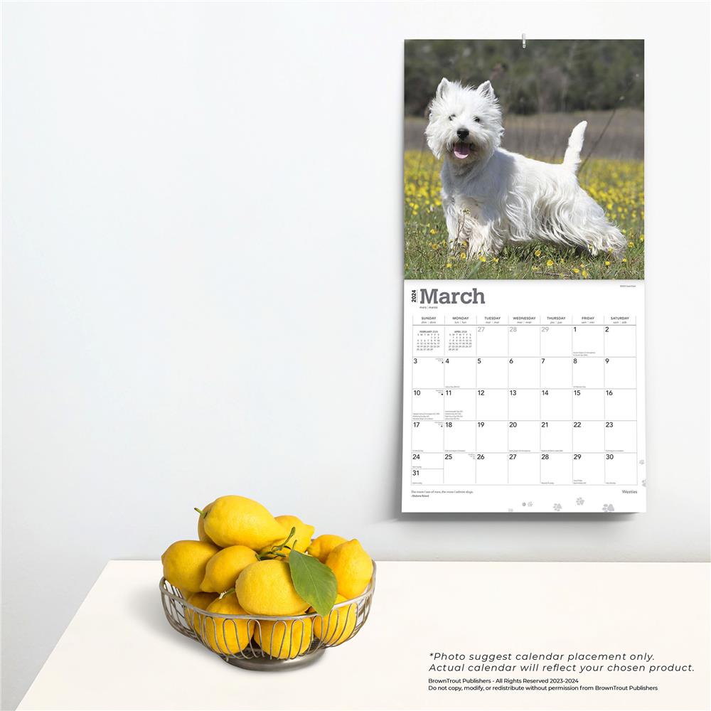 West Highland White Terriers 2024 Wall Calendar