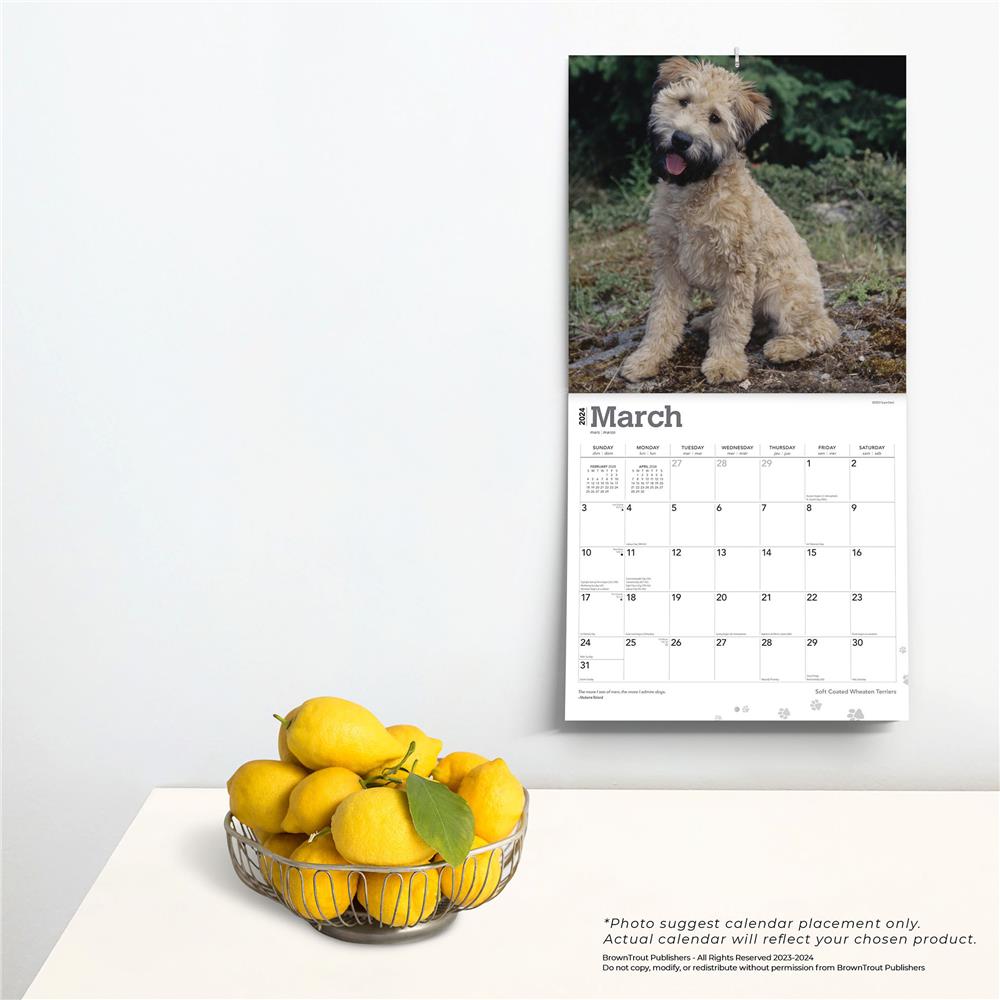 Wheaten Terriers - Soft Coated 2024 Wall Calendar