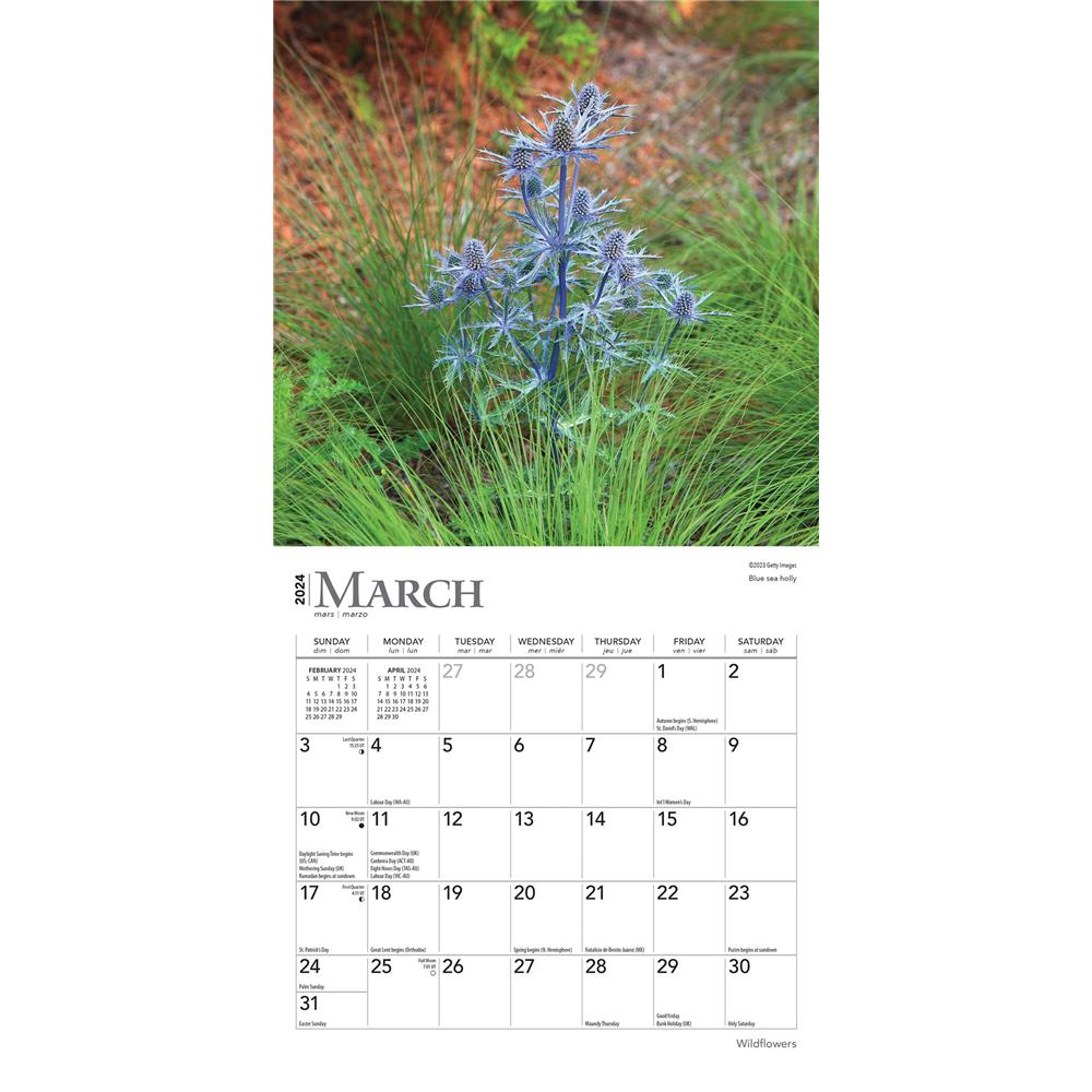 Wildflowers 2024 Mini Calendar - Online Exclusive