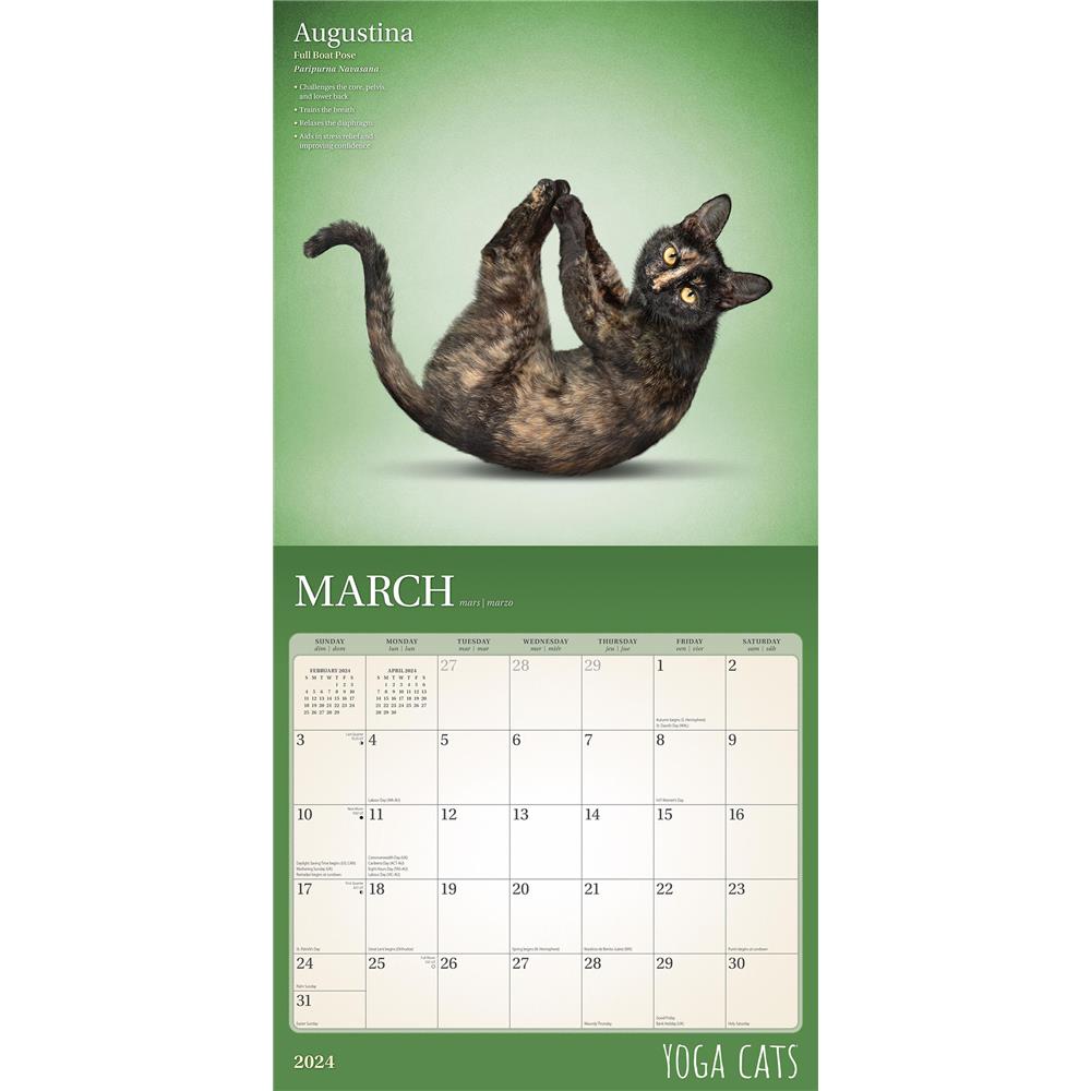 Yoga Cats 2024 Wall Calendar