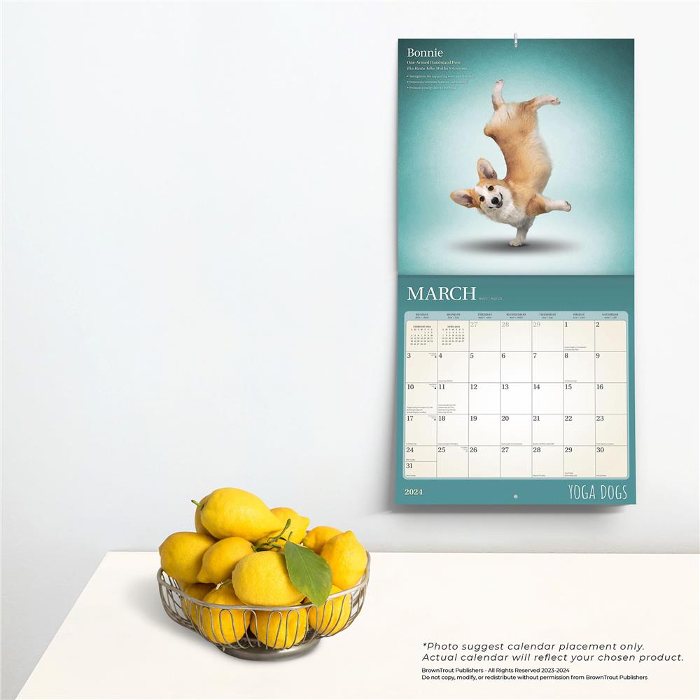 Yoga Dogs 2024 Wall Calendar