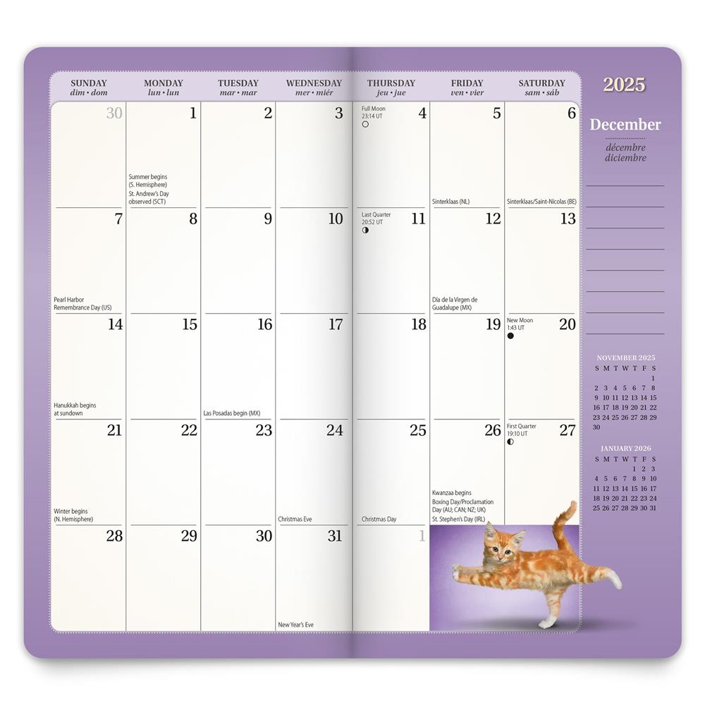 Yoga Kittens 2024 2 yr Pocket Planner Calendar - Online Exclusive