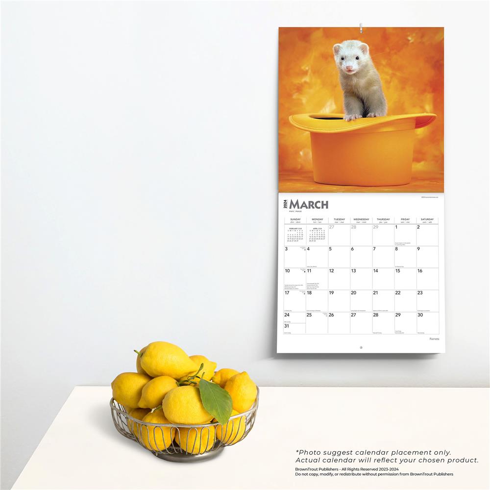 Ferrets 2024 Wall Calendar - Online Exclusive